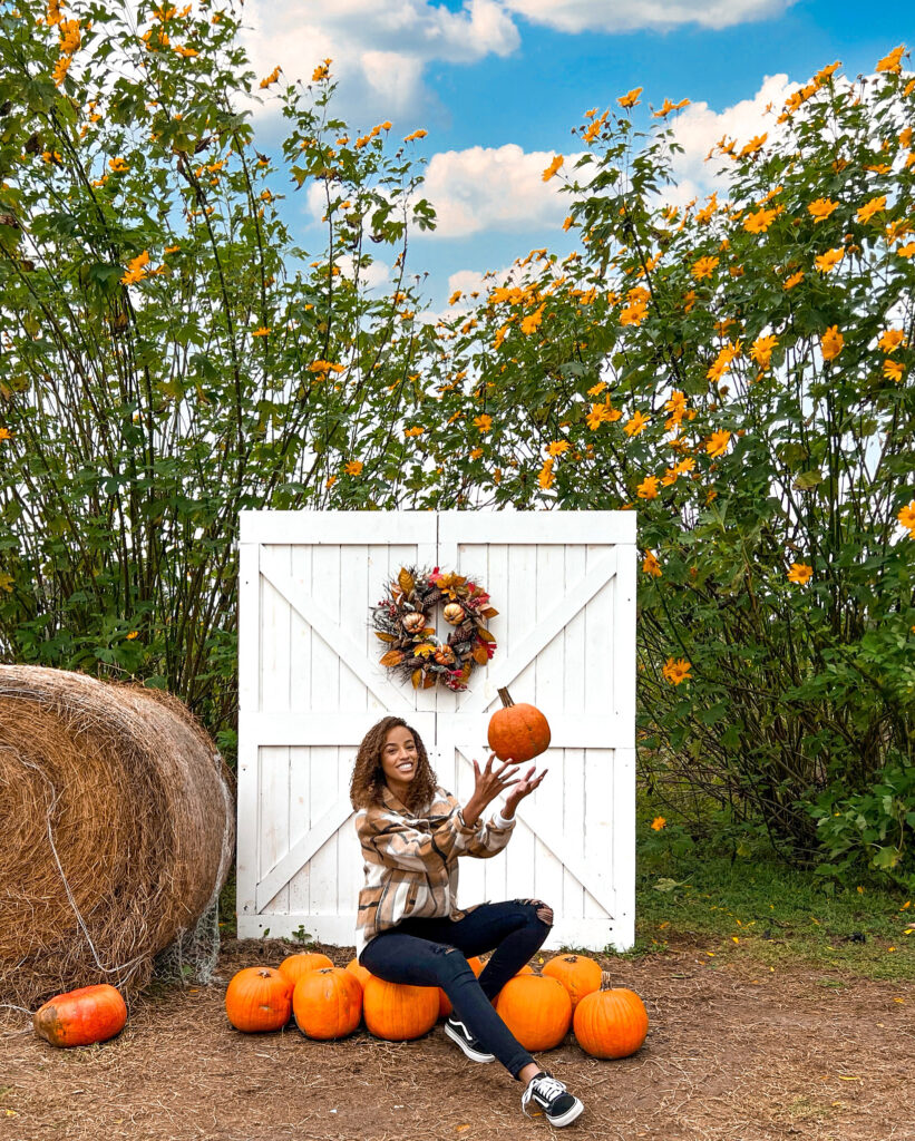 Must Do Things in Tampa Florida