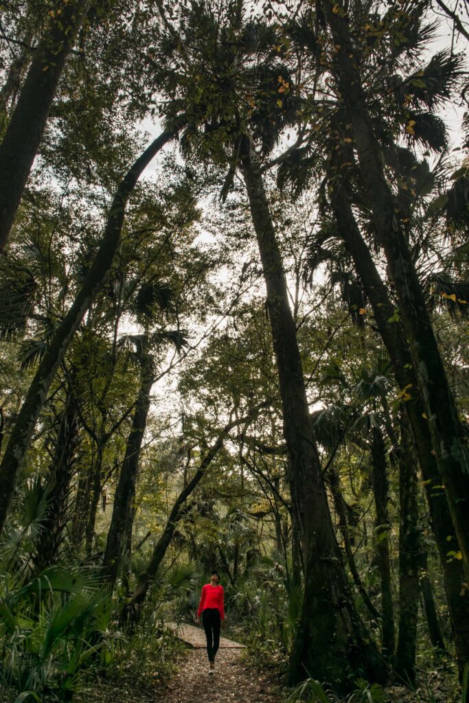 Solo Hiking as a Female