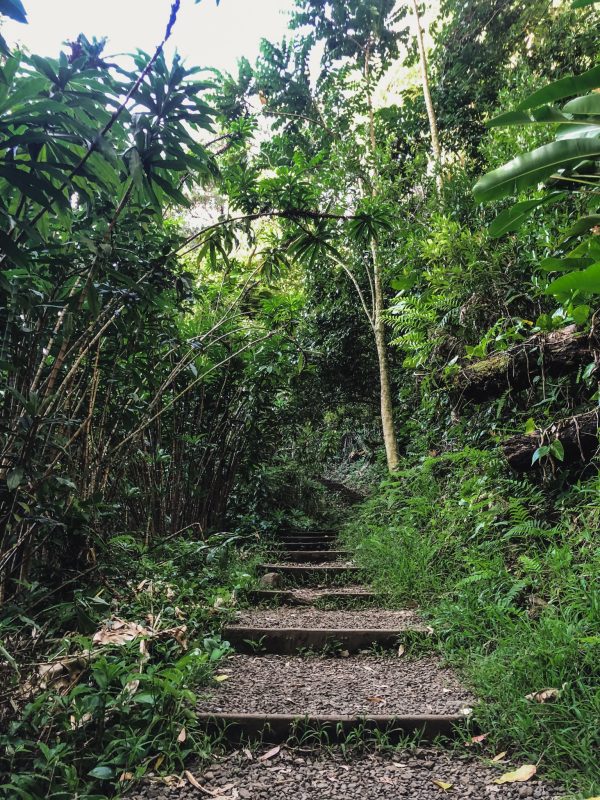 Waikamou Ridge Trail